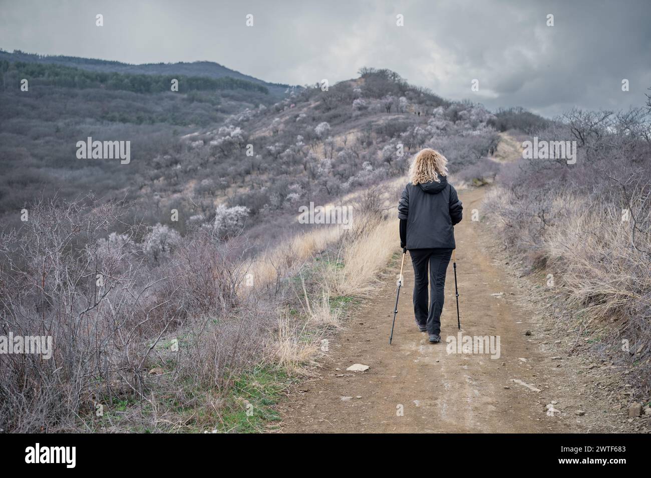 Blonde Erwachsene Frau, die Nordic Walking auf einem Pfad in den Bergen macht, bewölktes Frühlingswetter, freier Platz für eine aktive Lifestyle-Idee Stockfoto