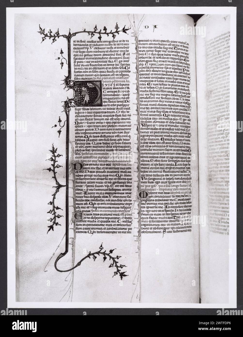 Emilia-Romagna Forli Cesena Biblioteca Comunale6. Hutzel, Max. 1960-1990 .. Mittelalter: Manuskripte: 1) Laurentius Rusius: 'De cura equorum' (15. Jahrhundert) BCM S.XXVI.2 2) Paolo Veneto: 'Geschichte der Ursprünge der Welt durch Heinrich VII.' (14. Jahrhundert) BCM S.XI.5 3) S. Isidorus: Etymologien (Ende des 8. bis Anfang des 9. Jahrhunderts) BCM S.XXI.5 4) Evangeliumsbuch (Evangeliario), Griechisch (10. Jahrhundert) BCM D.XXVII.4 5) Pentateuch, Propheten und Hagiographien, Hebräisch (1348) BCM S.XXIX.1 6) Somnium Scipionis, Sonstiges. (14.-15. Jahrhundert) BCM S.XII.6 7) Boethius: "De Consolatione Philosophie" (14. Jahrhundert) BCM Stockfoto