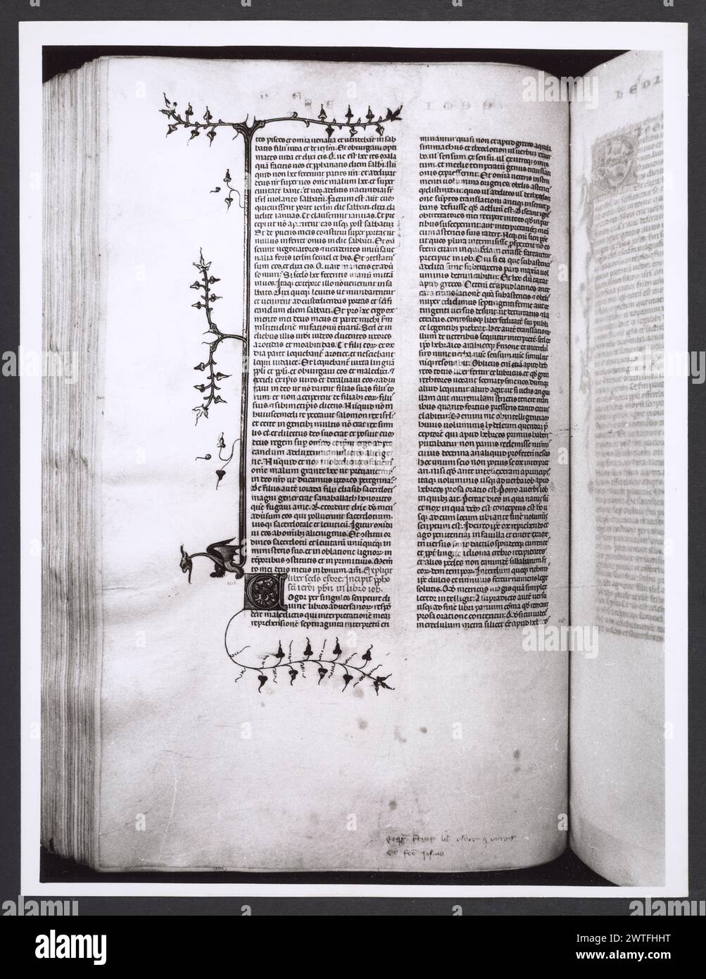 Emilia-Romagna Forli Cesena Biblioteca Comunale1. Hutzel, Max. 1960-1990 .. Mittelalter: Manuskripte: 1) Laurentius Rusius: 'De cura equorum' (15. Jahrhundert) BCM S.XXVI.2 2) Paolo Veneto: 'Geschichte der Ursprünge der Welt durch Heinrich VII.' (14. Jahrhundert) BCM S.XI.5 3) S. Isidorus: Etymologien (Ende des 8. bis Anfang des 9. Jahrhunderts) BCM S.XXI.5 4) Evangeliumsbuch (Evangeliario), Griechisch (10. Jahrhundert) BCM D.XXVII.4 5) Pentateuch, Propheten und Hagiographien, Hebräisch (1348) BCM S.XXIX.1 6) Somnium Scipionis, Sonstiges. (14.-15. Jahrhundert) BCM S.XII.6 7) Boethius: "De Consolatione Philosophie" (14. Jahrhundert) BCM Stockfoto