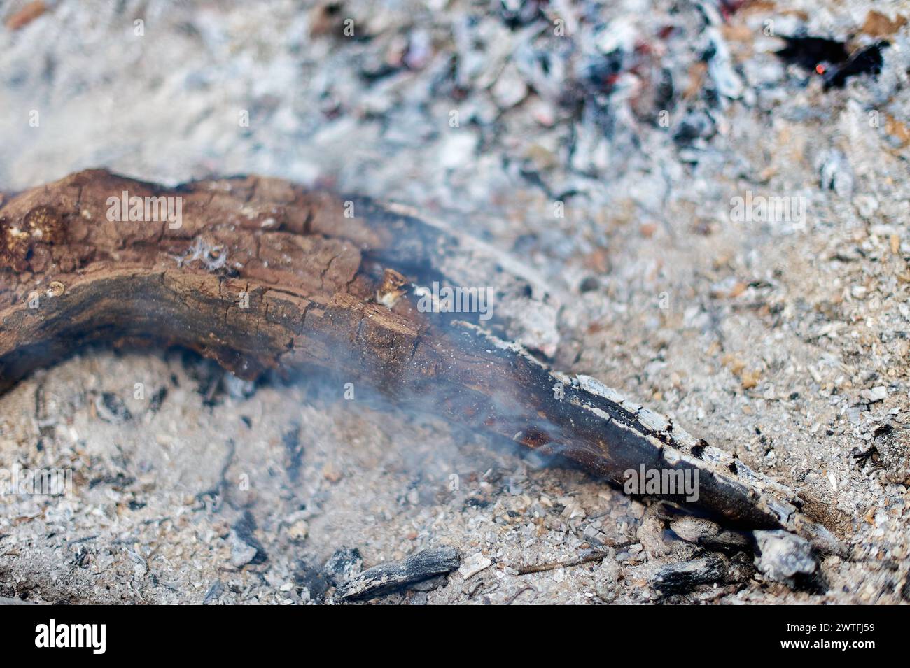 Reste von teilweise verbranntem Holz zwischen Asche, nach einem Brand. Stockfoto
