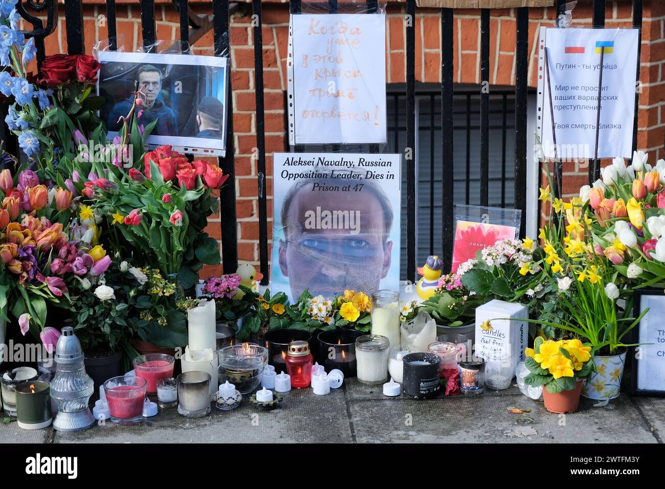 London, Großbritannien. März 2024. Eine provisorische Gedenkstätte für den verstorbenen russischen Oppositionsführer Alexej Nawalny. Tausende von Wählern kamen in die russische Botschaft in Kensington, einige Wähler standen vier Stunden lang an, bevor sie ihre Stimme abgeben. Viele wartende Menschen wurden in der blau-weißen pro-demokratischen Flagge gesehen, als Julia, die Ehefrau des verstorbenen Oppositionsführers Alexej Nawalny, die Wähler dazu drängte, in einem Protest gegen Putin zu erscheinen, während Nawalnys Team Einzelpersonen bat, ihre Stimmzettel zu verderben. Quelle: Eleventh Photography/Alamy Live News Stockfoto