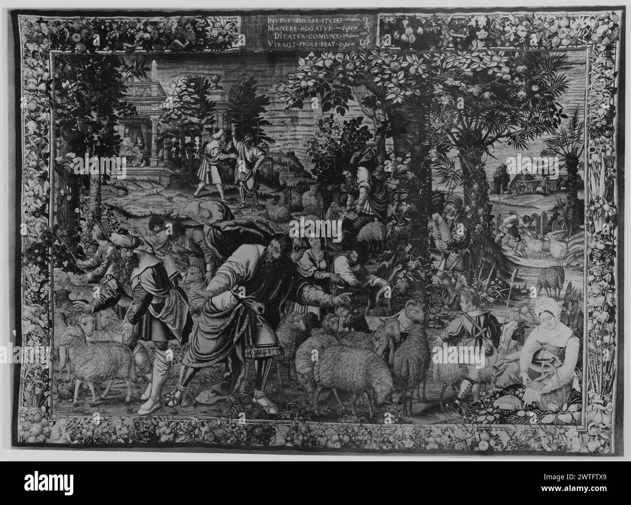 Partnerschaft mit Laban: Rinder sind geteilt. Orley, Bernart van (Niederländisch (vor 1600) - Flandern, ca. 1492-1542) (Autor des Designs) [Maler] Kempener, Willem I (Niederländisch (vor 1600) - Flandern, ACT.1534-1548) (Werkstatt) [Weber] ca. 1530-1535 Gobelin Materialien/Techniken: Unbekannte Kultur: Flämisches Weberzentrum: Brüsseler Besitz Geschichte: Soll an den Kaufmann in Antwerpen geliefert worden sein (1534). Kardinal Lorenzo Campeggi coll. (Vor 1539). Malvezzi-Campeggi coll. (Bis 1898/1900). Graf Tiele-Weichler, Deutschland (damals Schweiz). Französisch & Co. Von der Regierung von BE gekauft Stockfoto