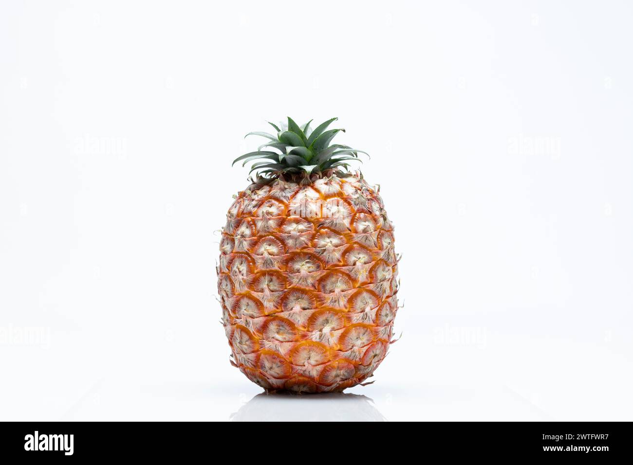 Azoren-Ananas isoliert auf weißem Hintergrund. Ananasfrucht (Ananas) von den Azoren. Kopierbereich. Stockfoto