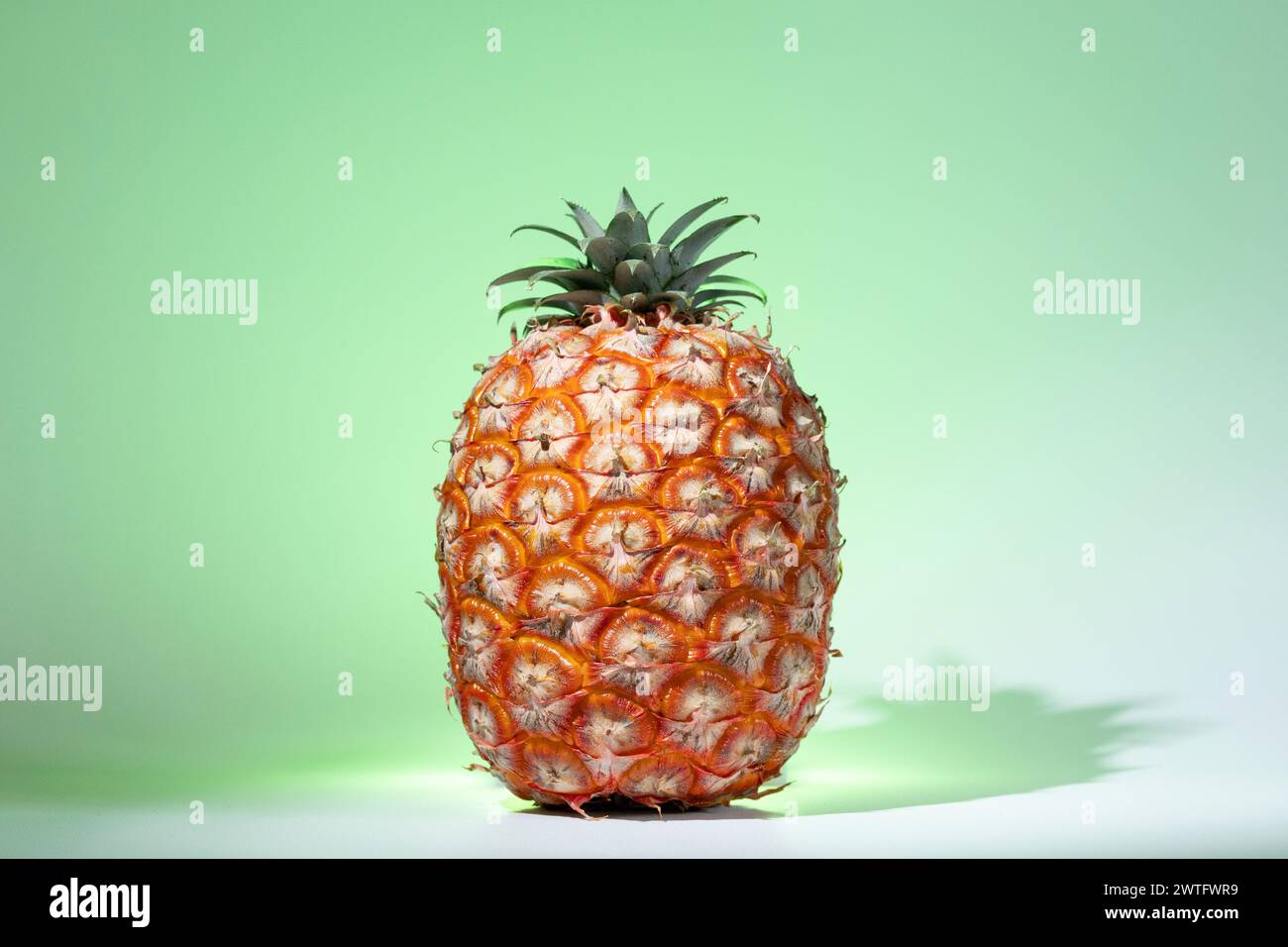 Azoren-Ananas auf grünem Hintergrund. Frische reife tropische Früchte. Ananasfrucht (Ananas) von den Azoren. Stockfoto