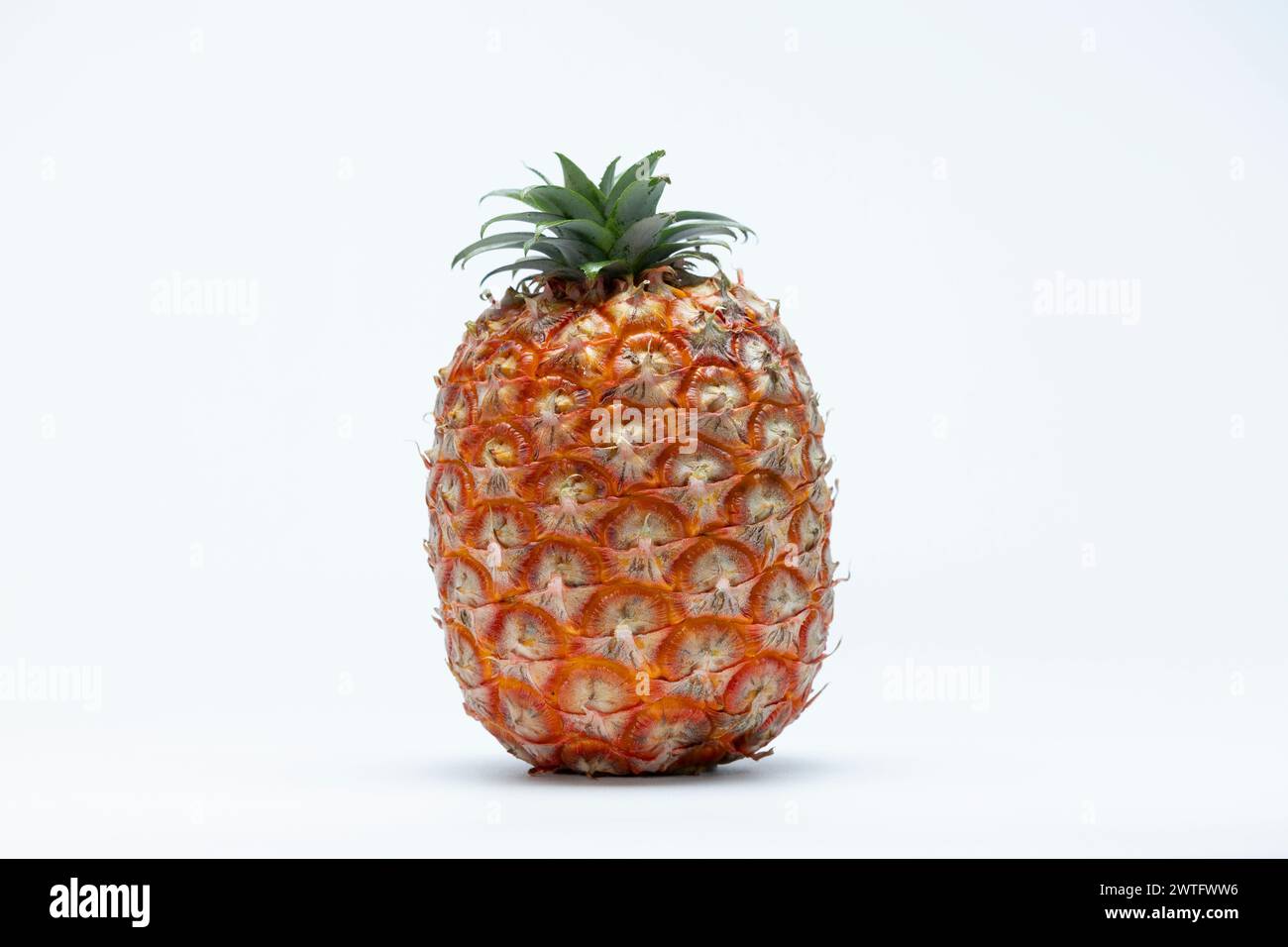Azoren Ananas (Ananas) Frucht isoliert auf weißem Hintergrund Stockfoto