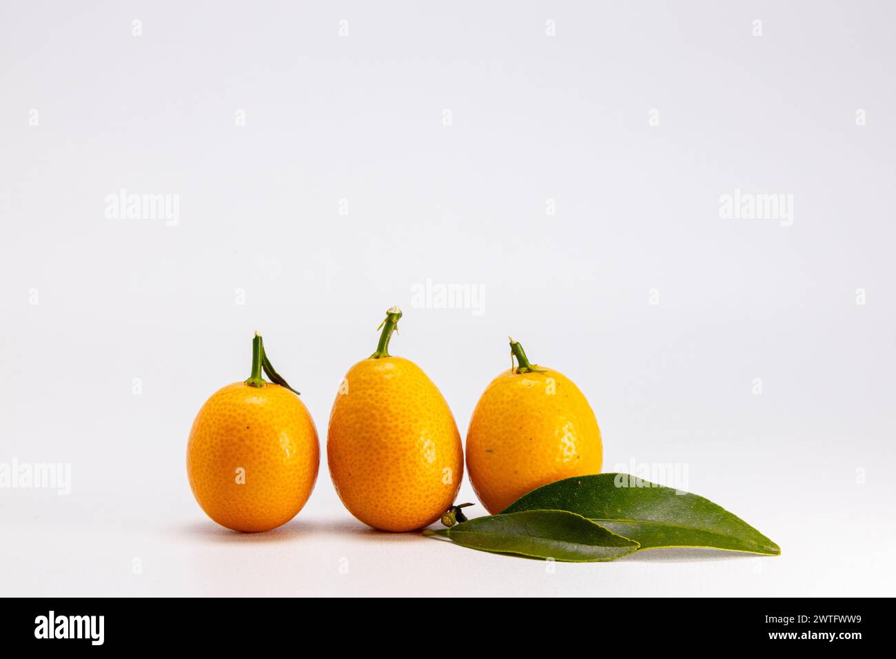 Reife Kumquat- oder Kumquat-Frucht auf weißem Hintergrund Stockfoto