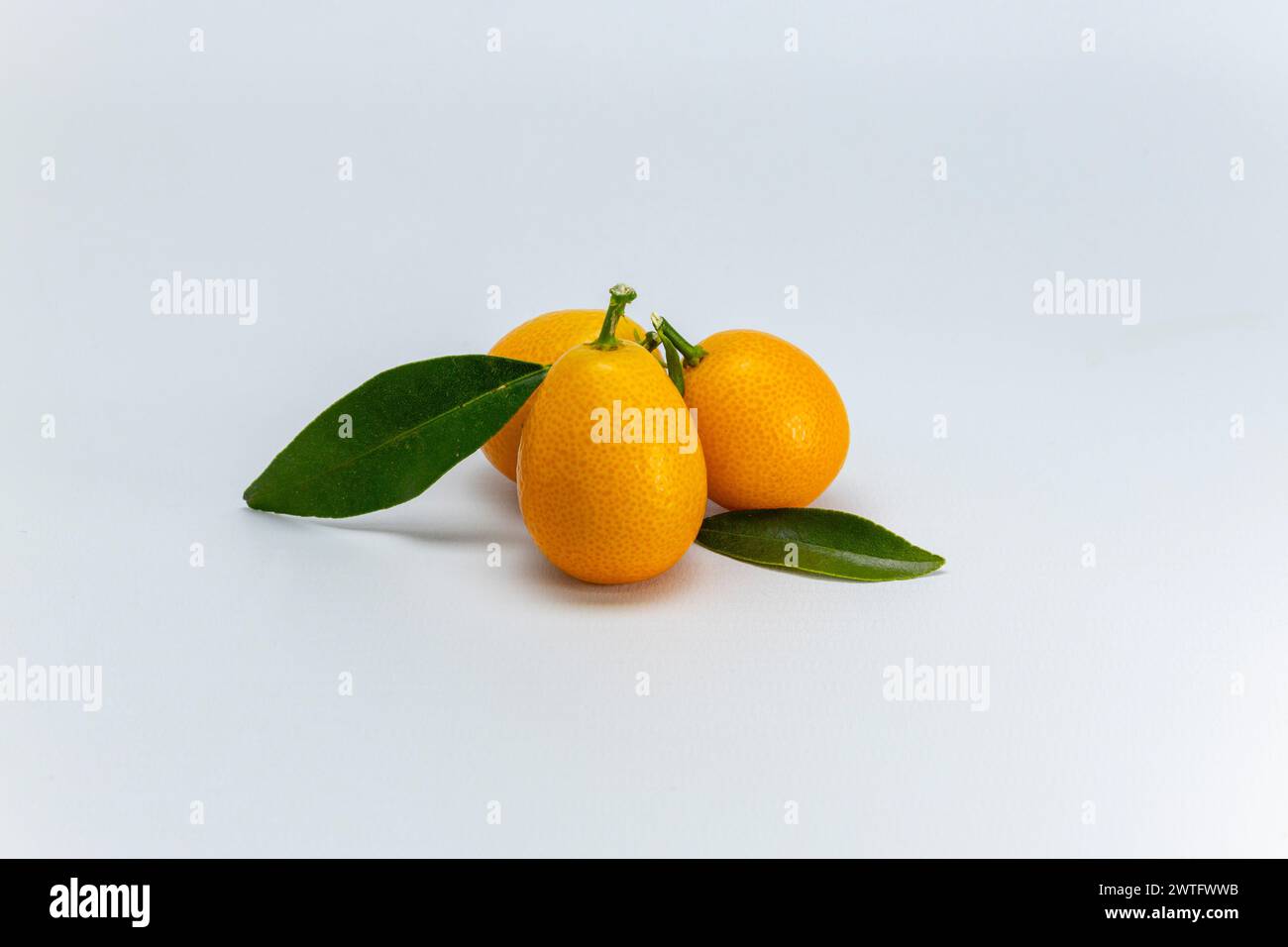 Kumquatfrucht mit isolierten Blättern auf weißem Hintergrund. Stockfoto