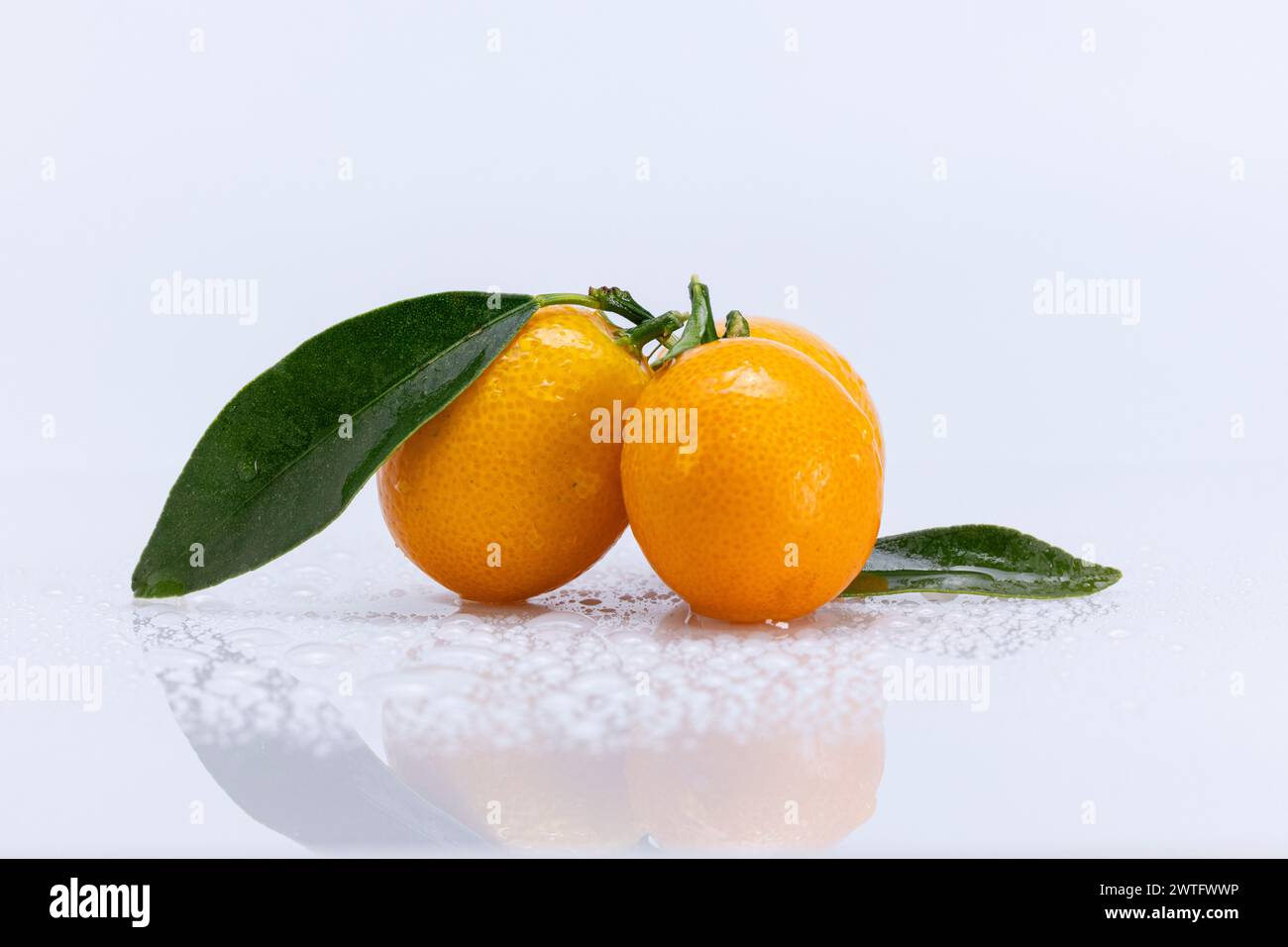 Reife Kumquat- oder Kumquat-Frucht auf weißem Hintergrund Stockfoto
