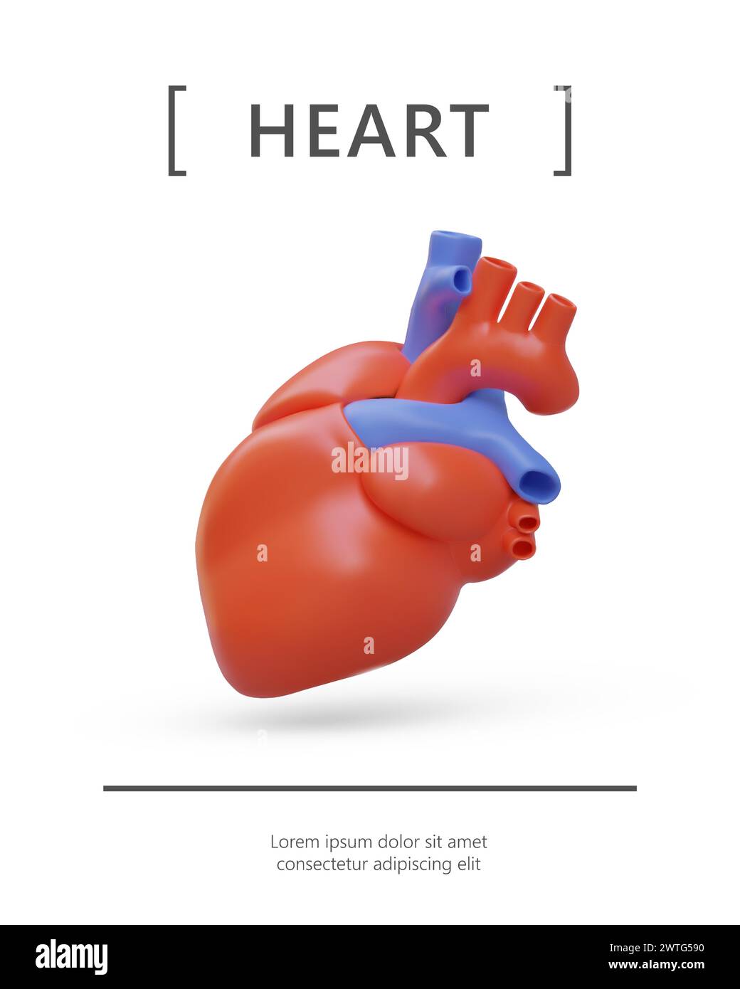 Vertikales Poster mit realistischem Herz. Anatomisch korrektes menschliches Organ mit Arterien und Venen. Illustration der Kardiologie-Abteilung. Farbvektor im Stock Vektor