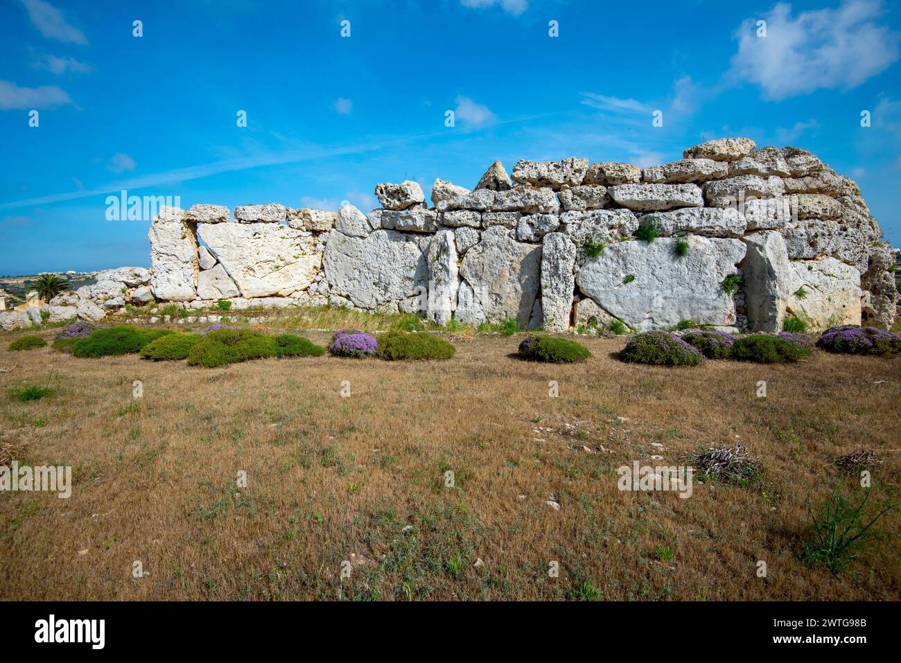 Ggantija Tempel - Gozo - Malta Stockfoto