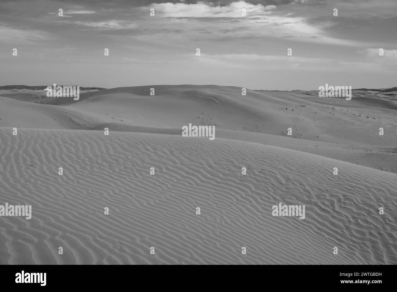 Nahaufnahme des Wüstensands in der Inneren Mongolei, China. Goldene Sandtapete mit Kopierraum für Text, Schwarzweiß Stockfoto