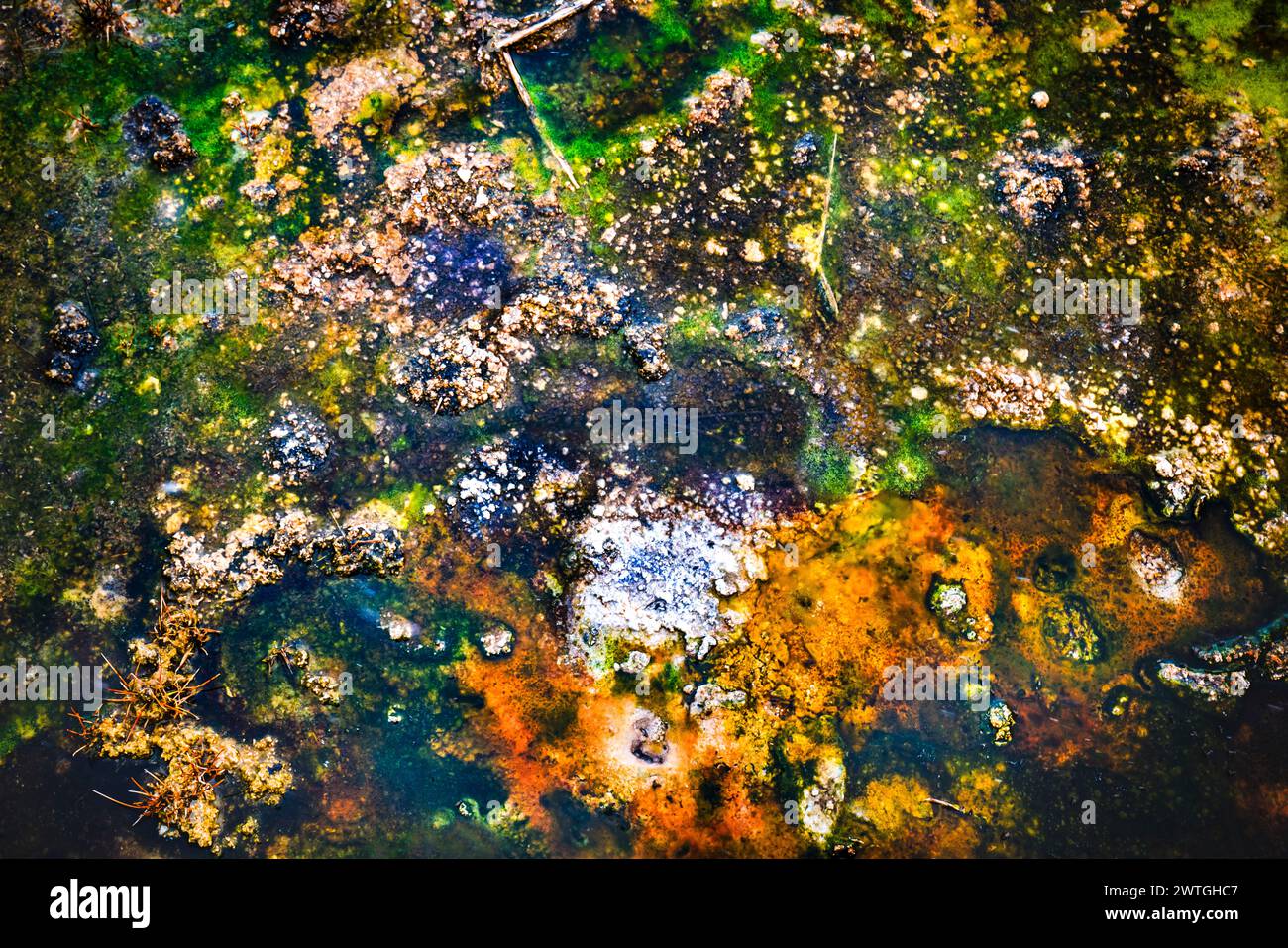 BLACK SANDS GEYSER BASIN UPPER GEYSER BASIN YELLOWSTONE NATIONAL PARK WYOMING USA Stockfoto