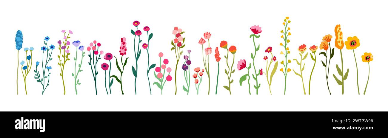 Große Reihe von zarten, anmutigen Wildblumen auf hohen Stämmen mit Laub. Einfache Blumenelemente. Wilde Pflanzen isoliert auf weißem Hintergrund. Illustration des flachen Vektors. Stock Vektor