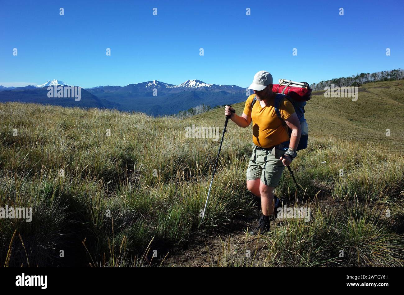 Mann mit Rucksack allein Wandern auf grasbewachsenen Berglandschaften im Puyehue Nationalpark, Los Lagos Region, Chile. Volcan Tronador am Horizont links Stockfoto