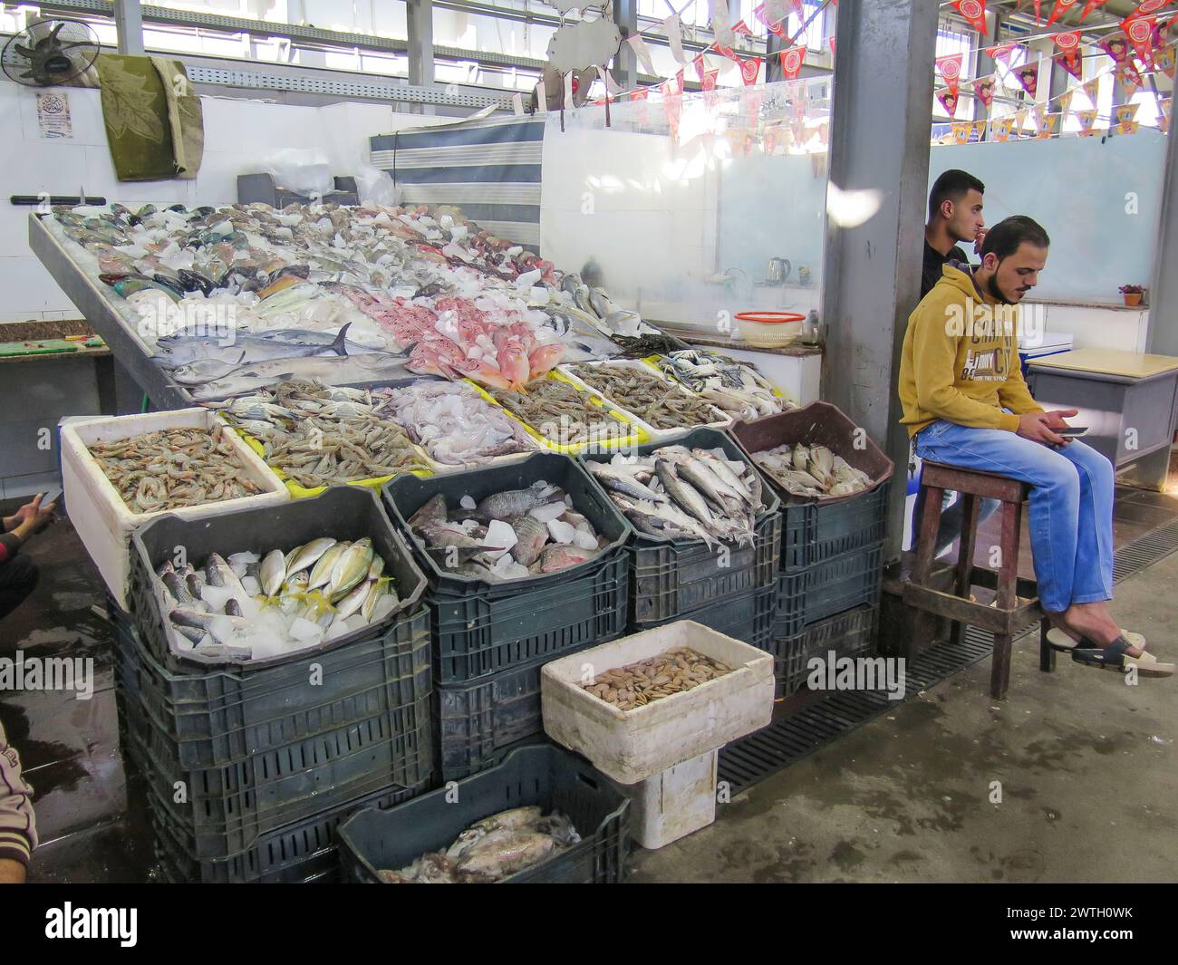 Fische im Fischmarkt von Hurghada, Ägypten Stockfoto