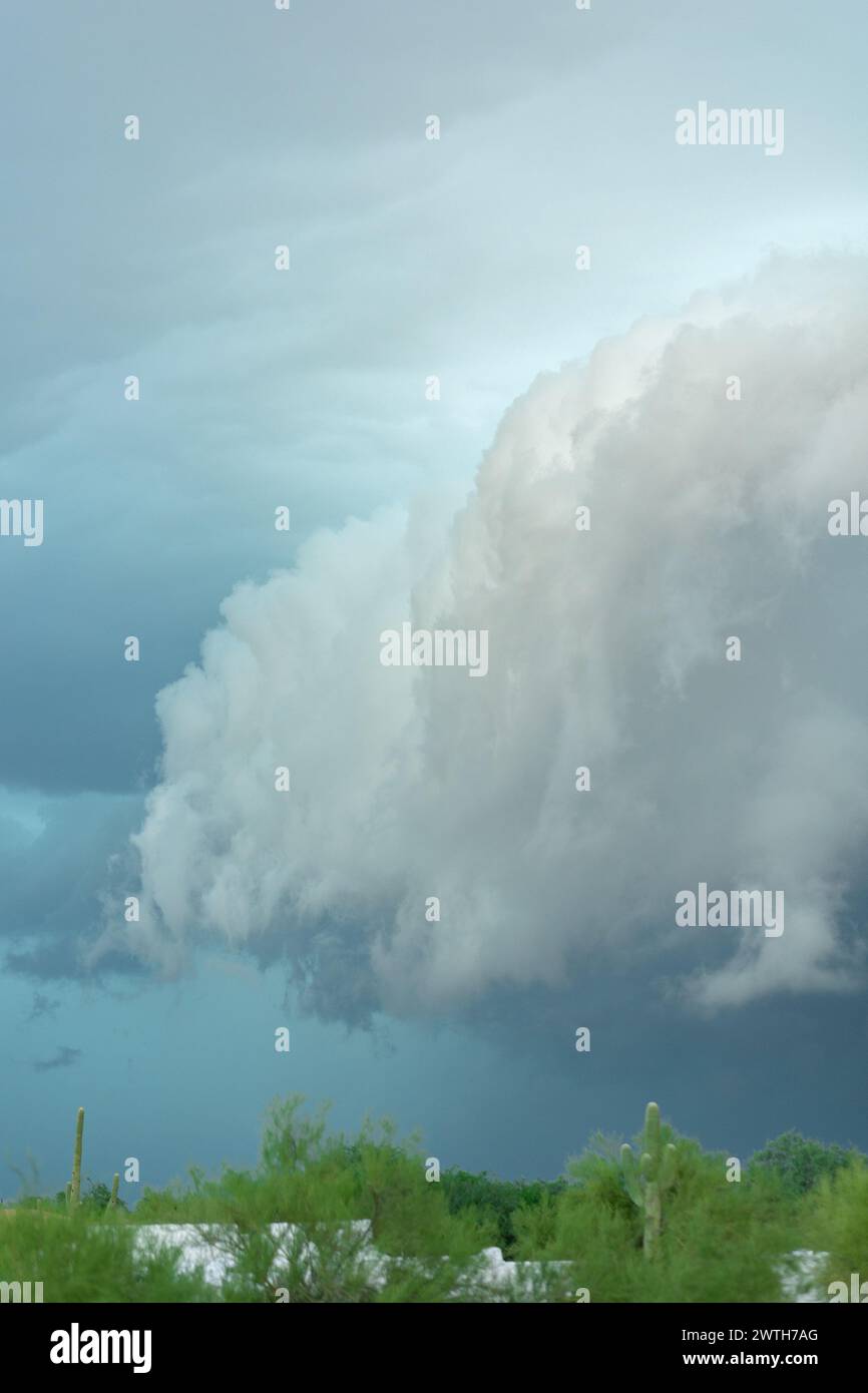 Bewölkter Himmel mit Sturm über der Wüste Stockfoto