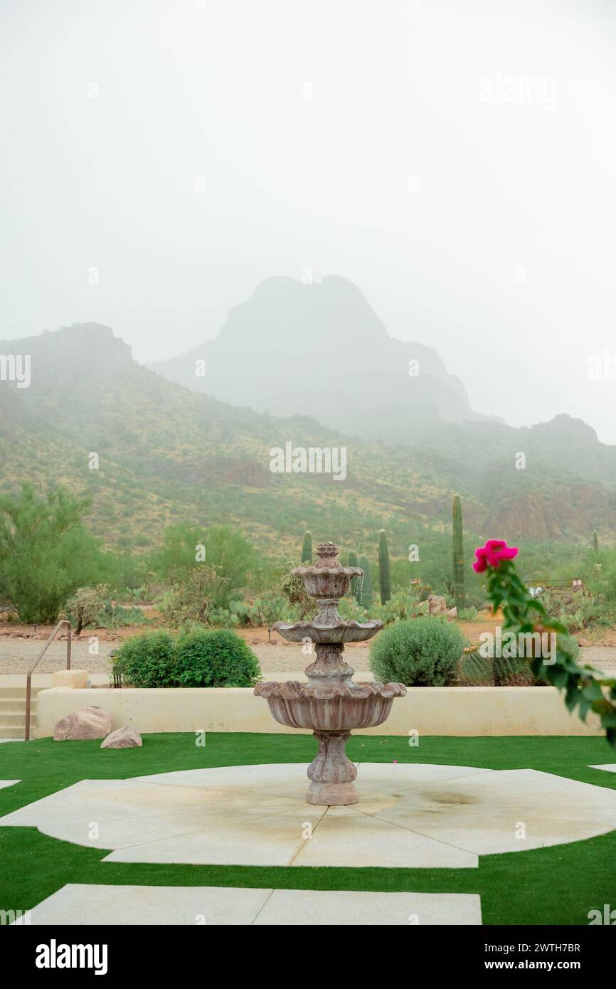 Stürmische arizona Wüste Bergbrunnen Blumenkaktus Stockfoto