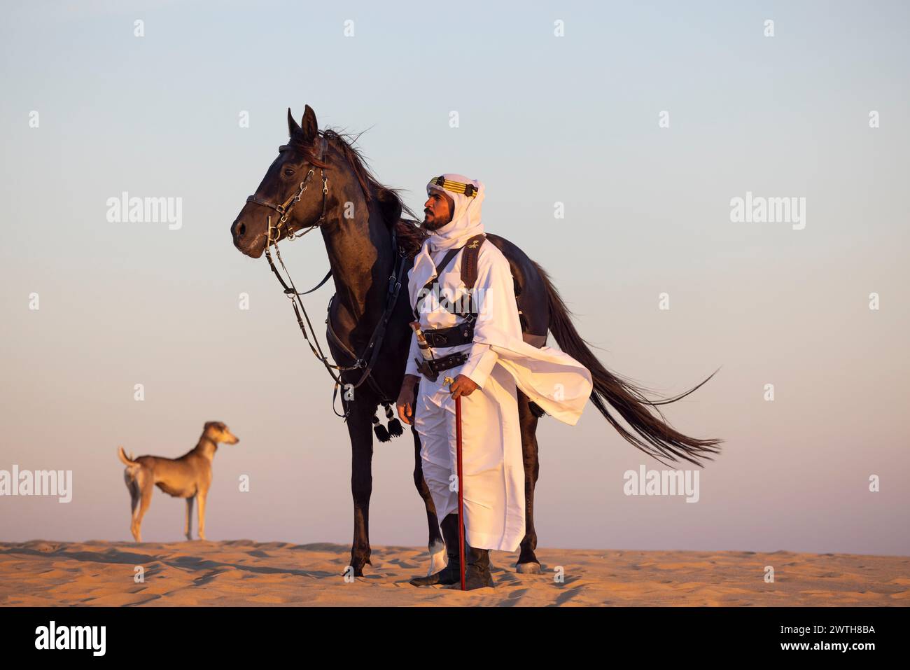 Mann in traditioneller Saudi-arabischer Kleidung in einer Wüste mit einem schwarzen Hengst Stockfoto