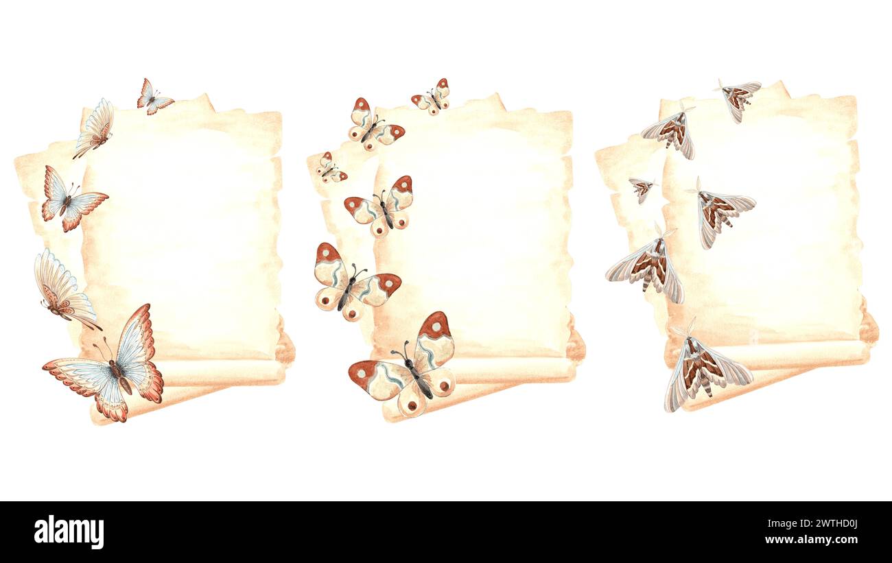 Set aus Vintage-Kompositionen Pergamentpapier mit Schmetterlingen. Handgezeichnete Aquarellillustration von Papyrus, Retro-Schreibwaren. Isoliertes Schreiben Stockfoto