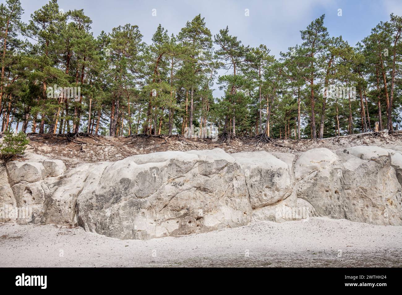 Kreidefelsen Sandsteinfelsen im Harz Stockfoto