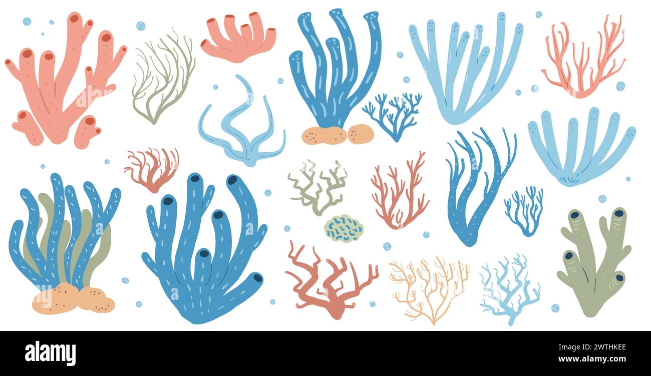 Korallenriff isoliert auf weißem Hintergrund. Meeresunterwasserelemente. Illustration der Vektorabwicklung. Stock Vektor