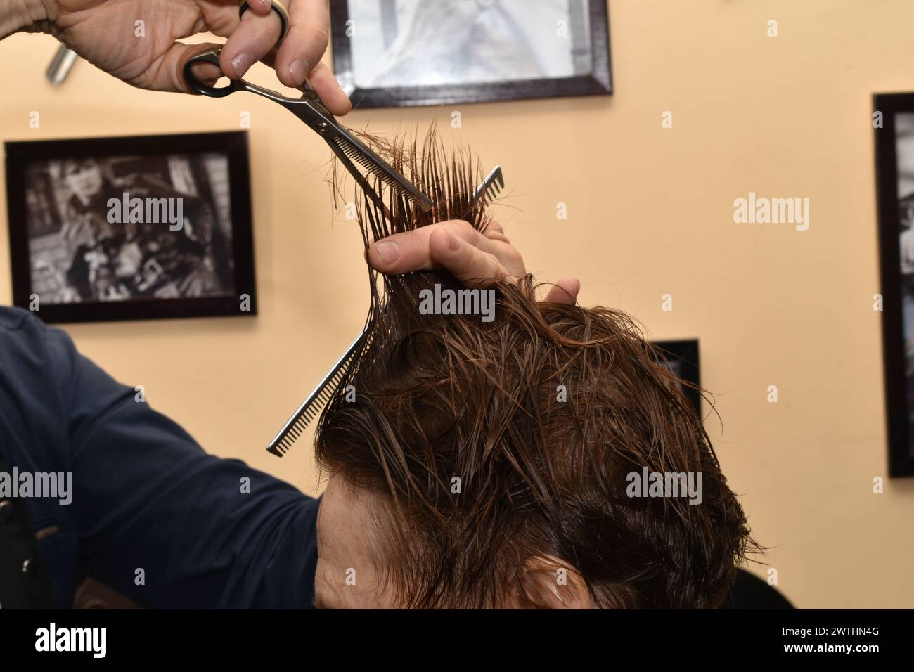 Ein Friseur verwendet eine Schere, um die Haare auf dem Kopf einer Frau zu kürzen. Stockfoto