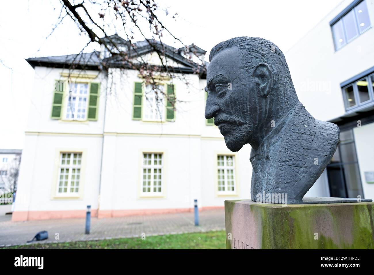 Bueste von Julius Albert Fraenkel 1864-1938 am Eingang des Tuberkulose-Archivs DTA in Heidelberg Foto vom 19.02.2024. Fraenkel war ein deutscher Arzt, der als Tuberkulose- und Herzforscher bekannt war. Das Deutsche Tuberkulose-Archiv ist nach eigenen Angaben das einzige Museum in Deutschland, das sich ausschliesslich mit dem Thema Tuberkulose beschaeftigt. Es wurde 1996 in Fulda gegruendet, seit 2011 befindet es sich im Rohrbacher Schloesschen im Park der Thoraxklinik Heidelberg. Sein Traeger ist der Foerderverein Deutsches Tuberkulose-Archiv. NUR REDAKTIONELLE VERWENDUNG *** Büste von Julius Albert Fra Stockfoto