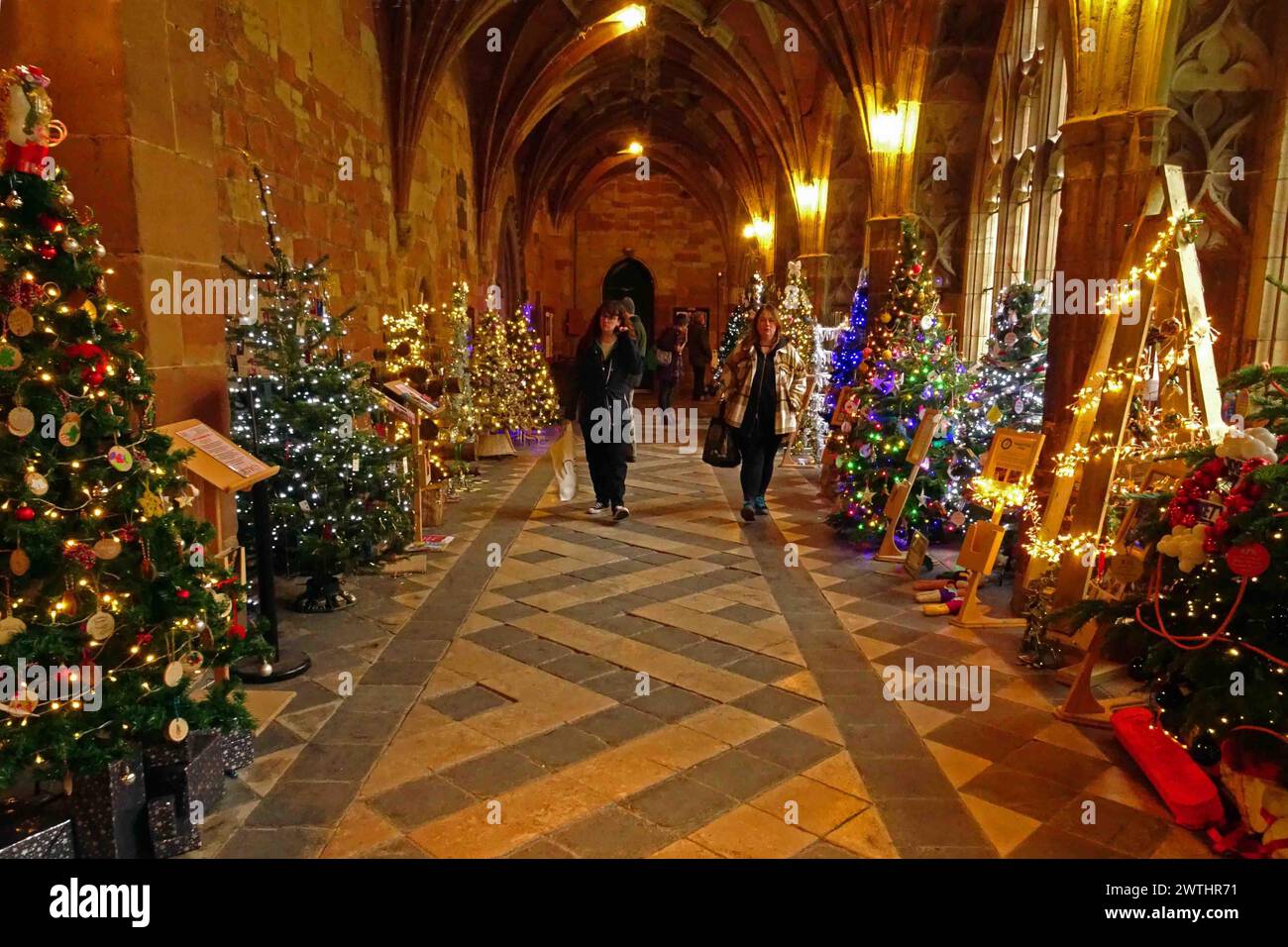 England, Worcester: Weihnachtsbäume in den Gewölbeklöstern der Kathedrale. Stockfoto