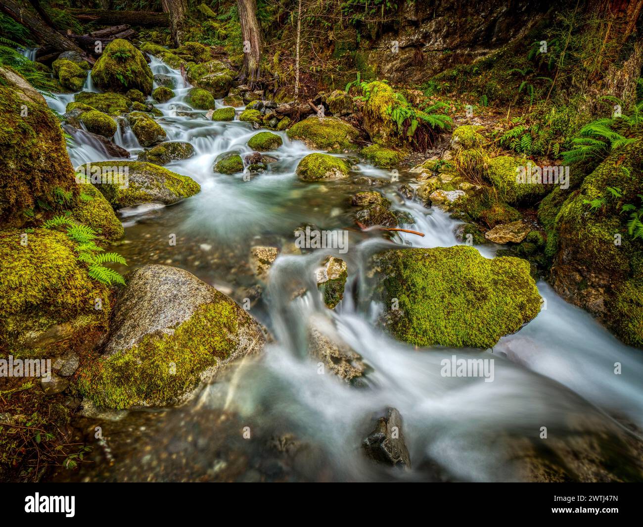 Lange Exposition der rauschenden Gewässer des Karst Creek. Der Bach liegt im Strathcona Provincial Park auf Vancouver Island, BC, Kanada. Stockfoto