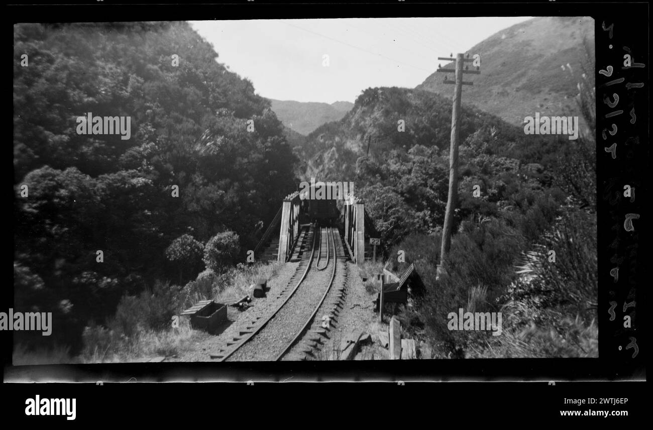 Brücke in der oberen Schlucht, Pakuratahi Gelatine Silber negative, schwarz-weiß negative Stockfoto