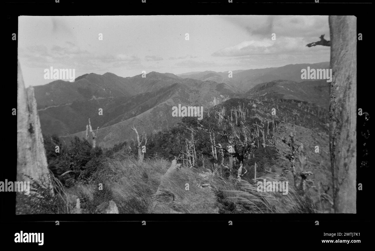 Rimutaka Range Gelatine Silber Negative, Schwarzweiß Negative Stockfoto