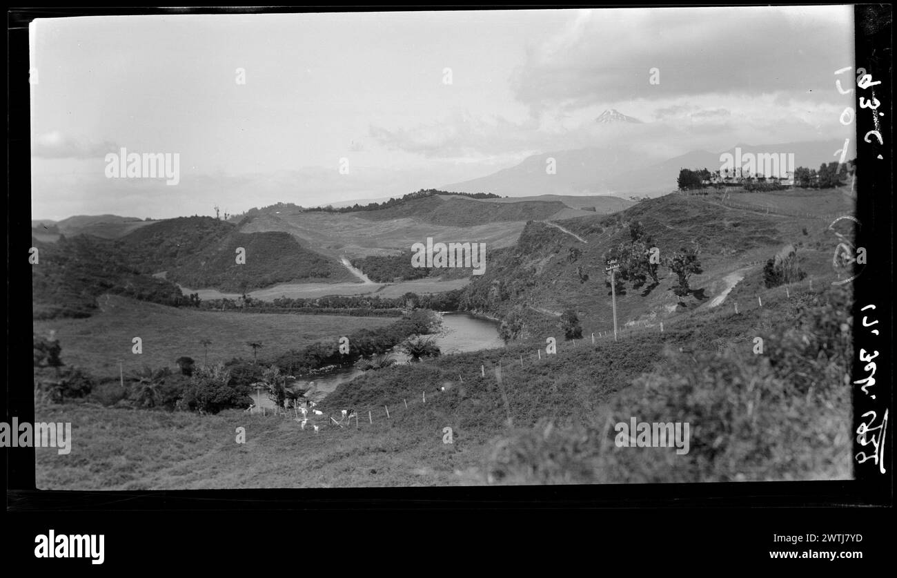 Taranaki Farmland Gelatine Silber negative, schwarz-weiß negative Stockfoto