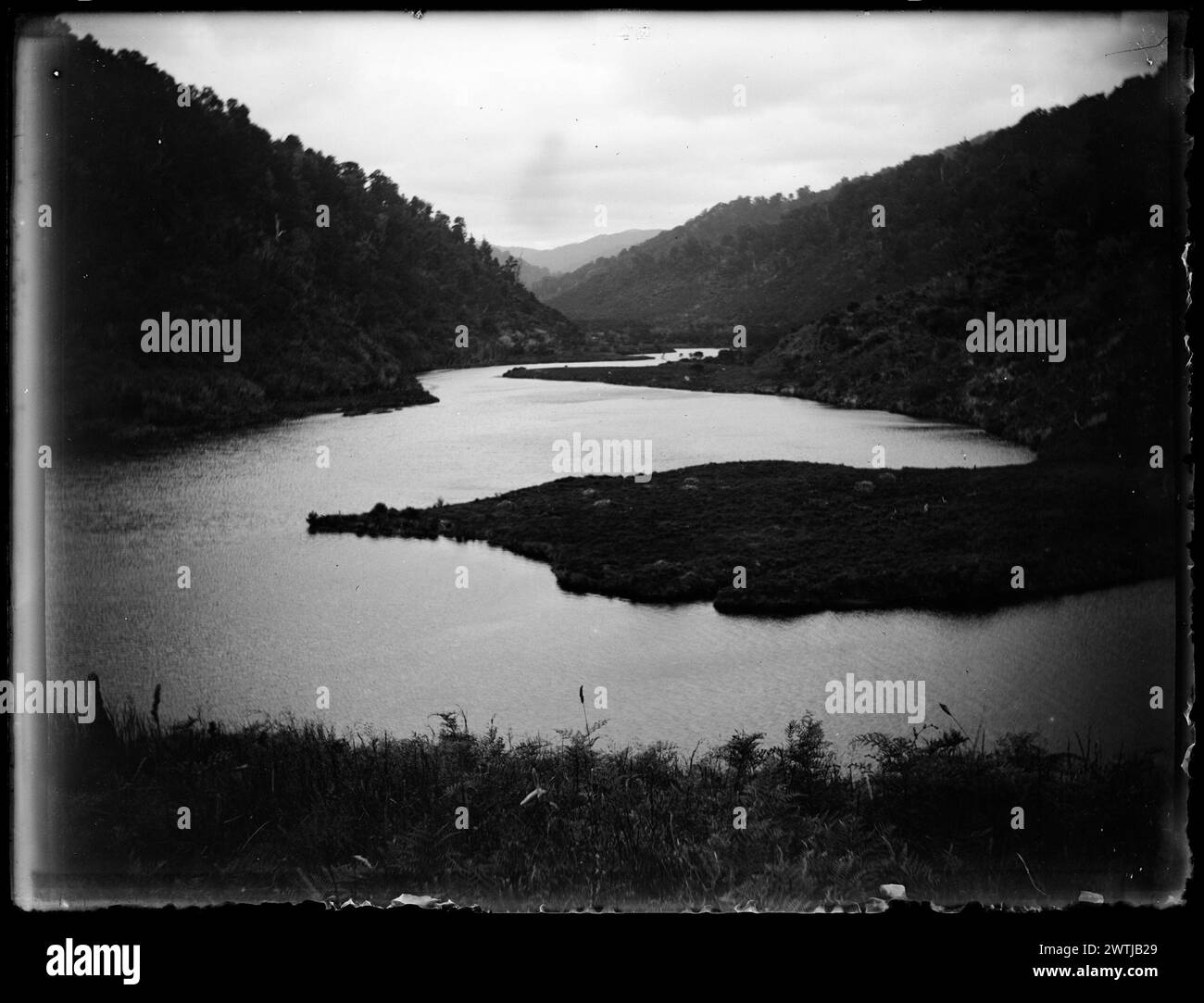 Flussgelatine-Trockenplatte-negative, Schwarzweiß-negative Stockfoto