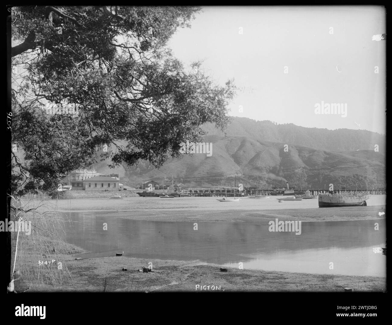 Picton-Gelatine-Trockenplatten-negative, Schwarzweiß-negative Stockfoto