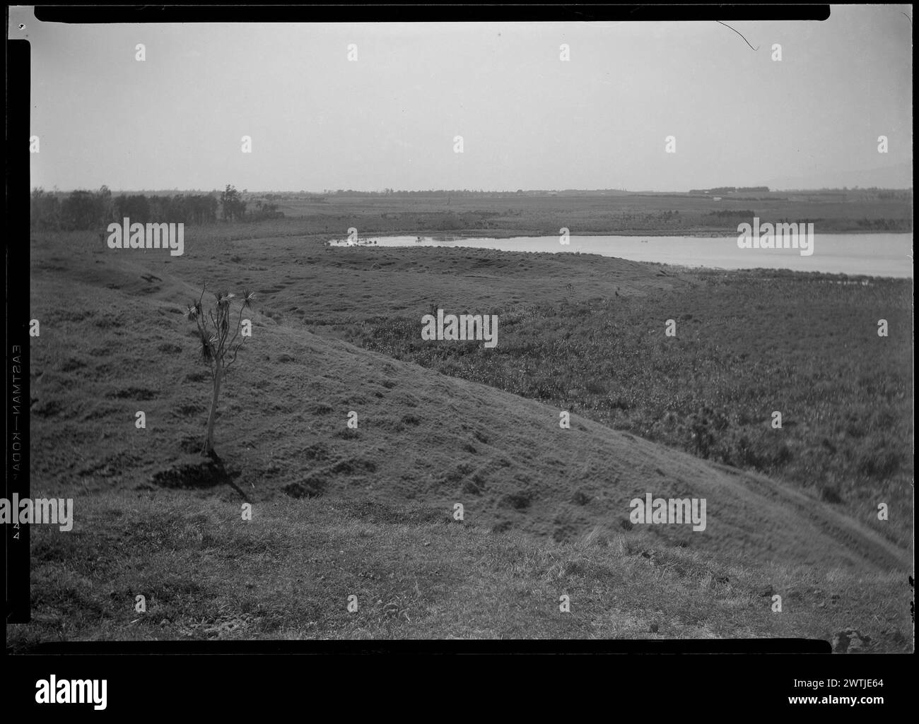 Lagunen in der Nähe von Pakipaki Bush - 1929 Nitratnegative, Schwarzweiß-negative Stockfoto