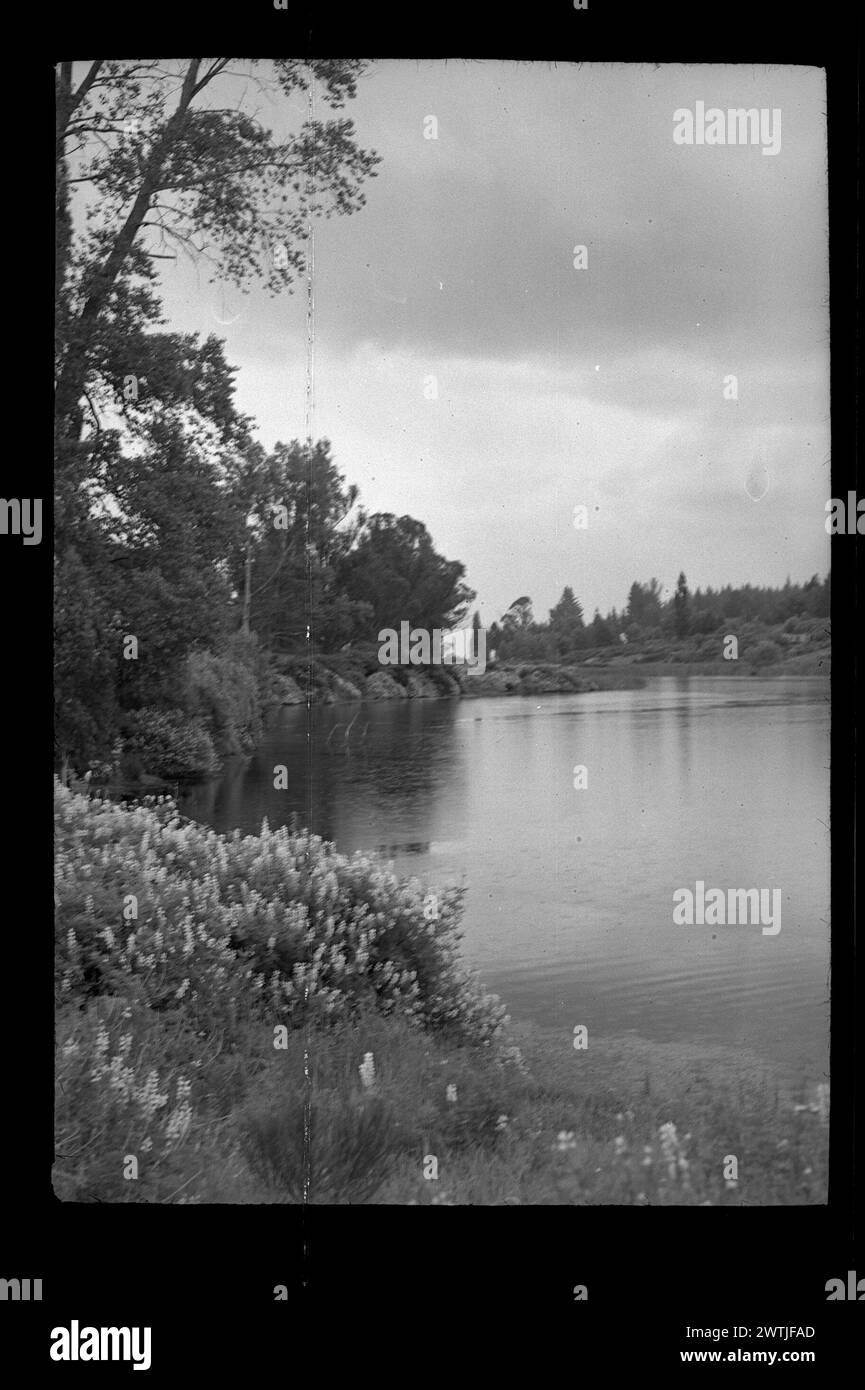 Taupo Trip Gelatine Silber negative, schwarz-weiß negative Stockfoto