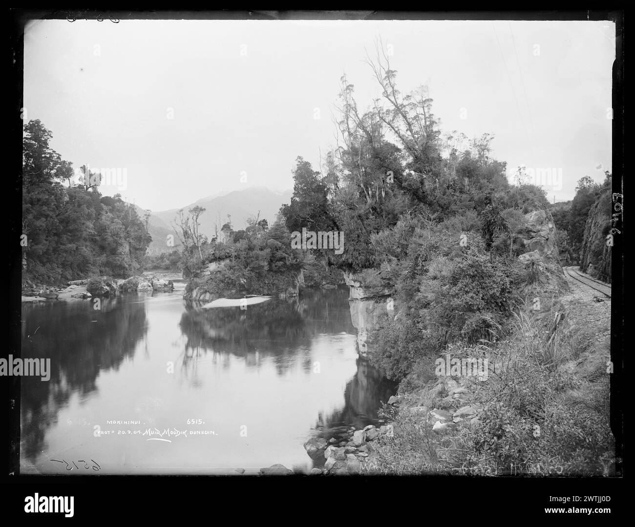 Mokihinui-Gelatine-Trockenplatte-negative, Schwarzweiß-negative Stockfoto
