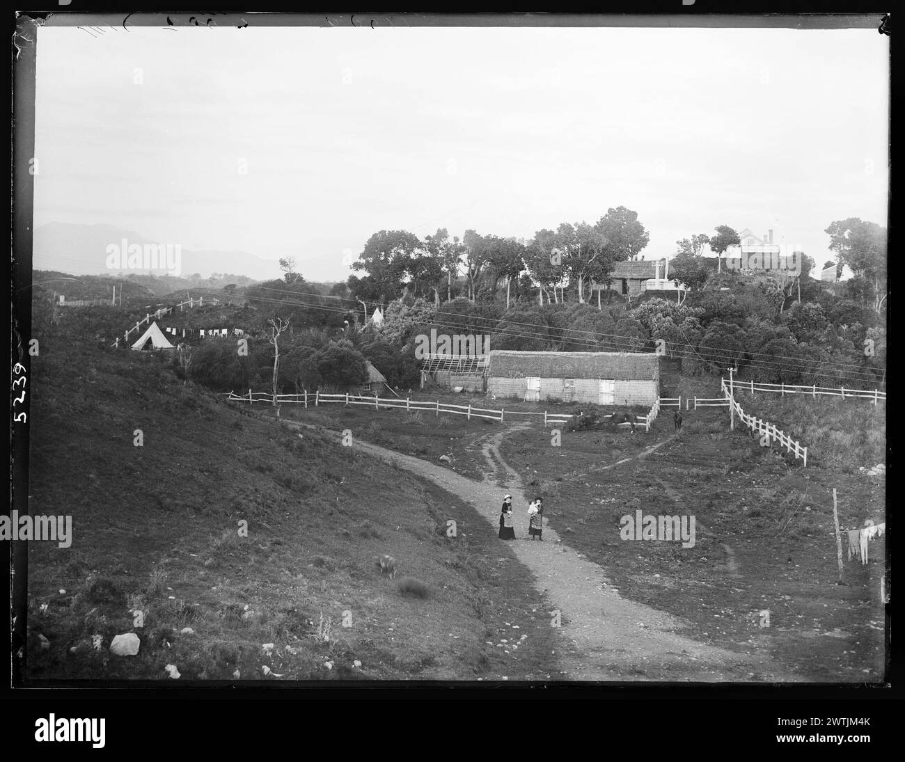 (Mount Egmont aus Pungarehu) Gelatinegegnegative, Schwarzweiß-negative Stockfoto