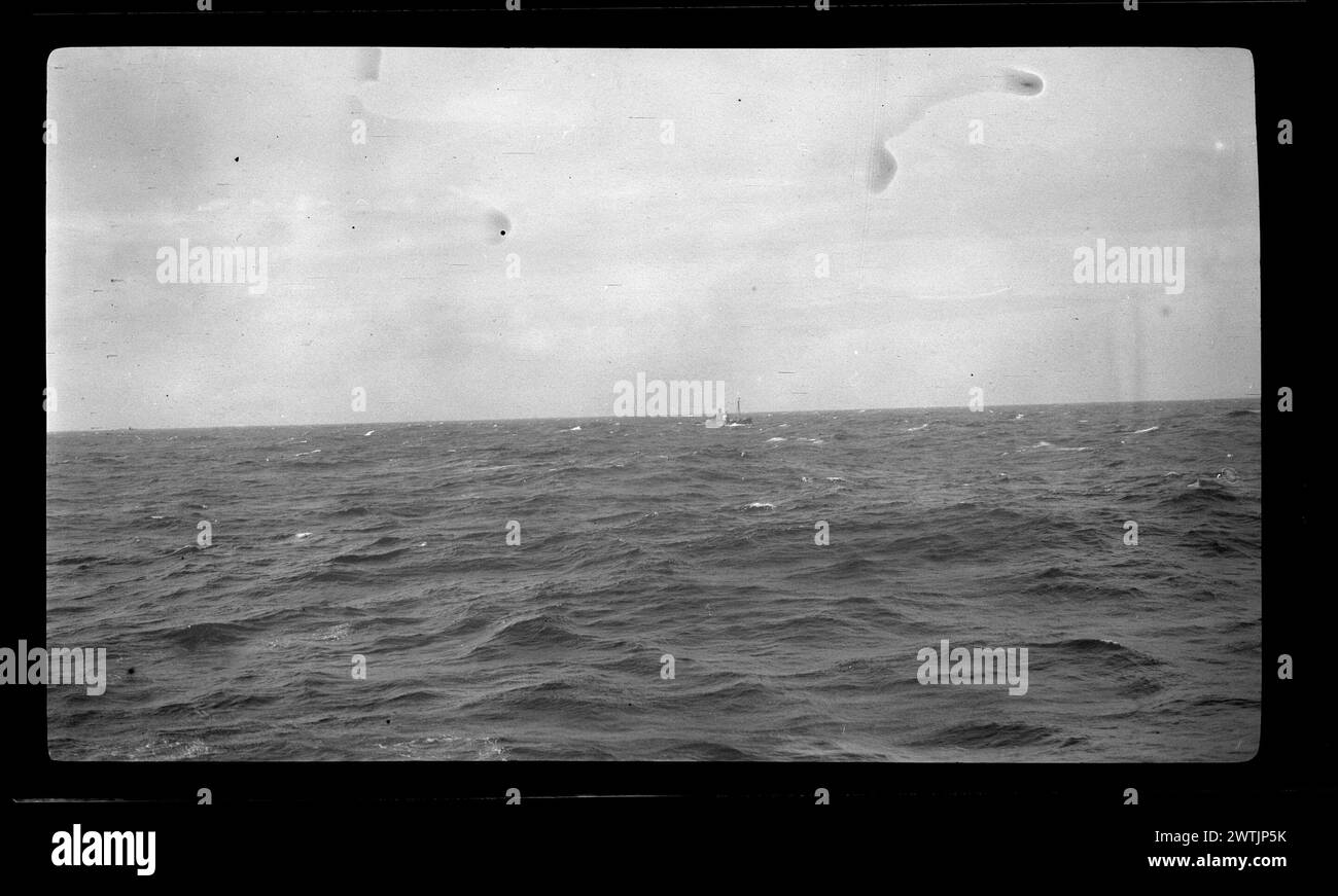 Walfang in den Ross Meer Nitrat Negatives, Schwarzweiß Negatives Stockfoto