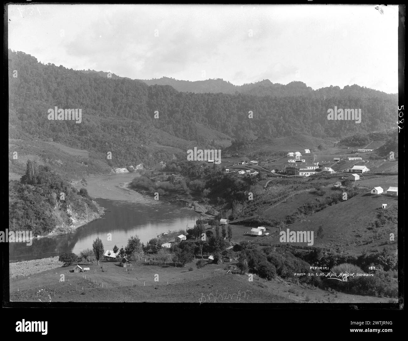 Pipiriki-Gelatine-Trockenplatten-negative, Schwarzweiß-negative Stockfoto