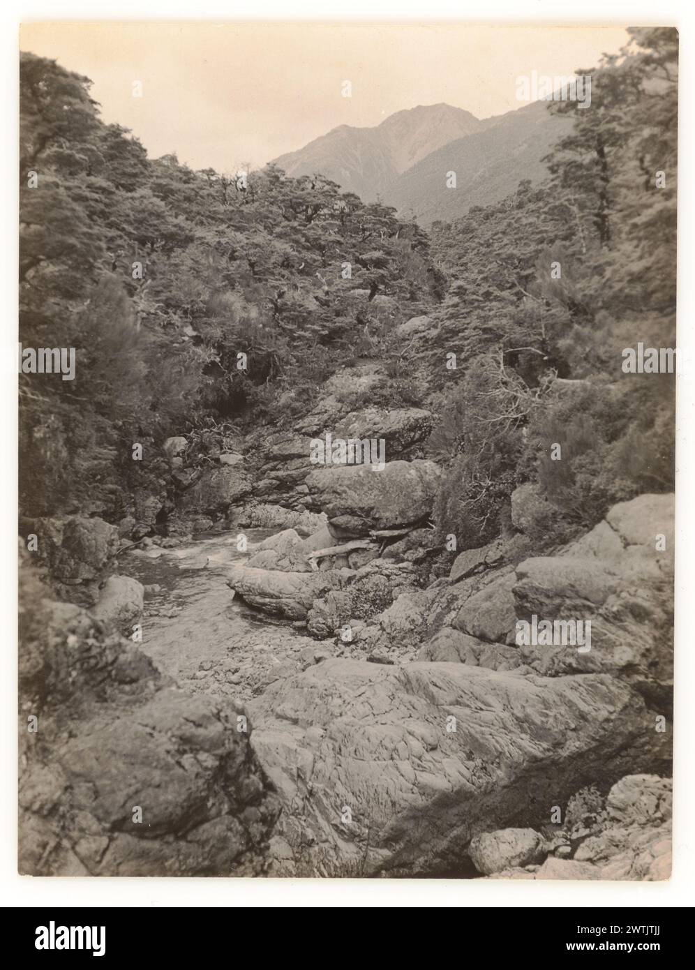 River, Arthur's Pass Schwarzweiß-Drucke, Gelatinefarben-Silberdrucke Stockfoto