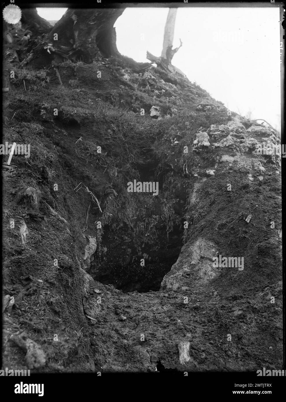 Conoor Cave, in der Moa-Knochen schwarz-weiße negative gefunden wurden, Gelatine-Trockenplatten-negative Stockfoto