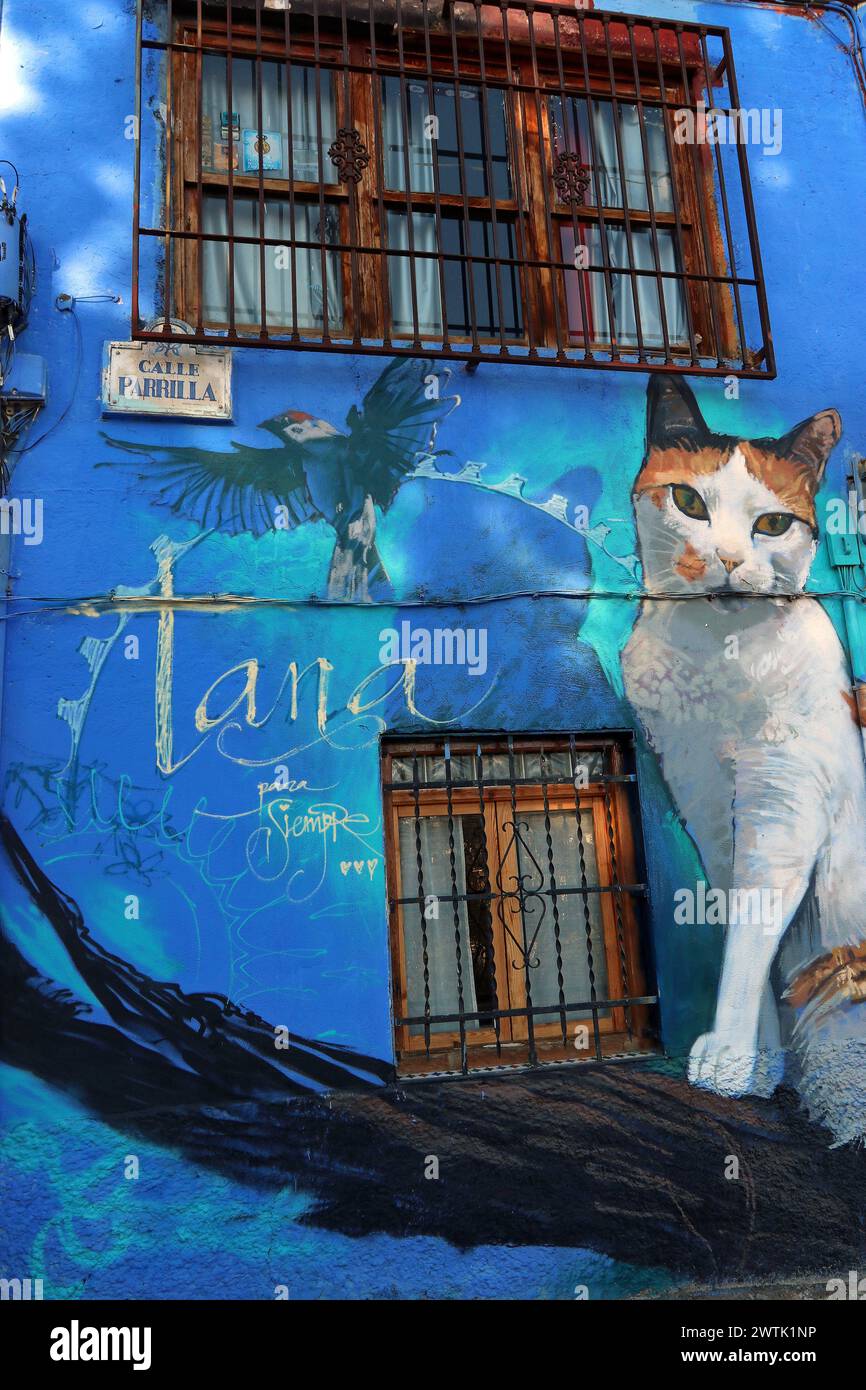 Großes, lebendiges Straßenkunstbild einer Katze, signiert von Tana, ziert die Wand eines Hauses im Stadtteil Realejo-San Matias in Granada, Spanien. Stockfoto