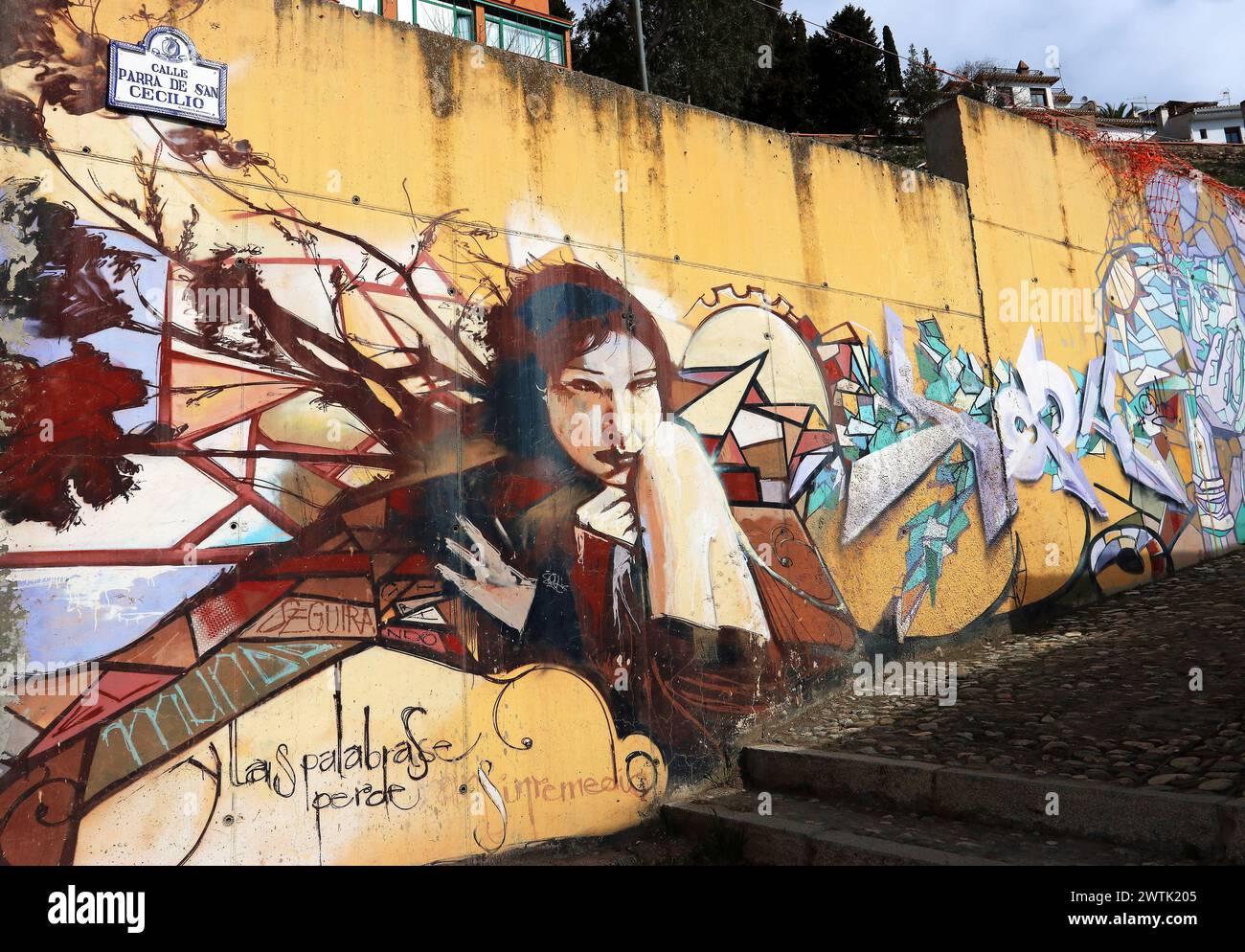 Ein lebhaftes Straßenbild ziert eine Wand im Künstlerviertel Realejo, Granada, Spanien, und zeigt eine zeitgenössische Seite dieser historischen Stadt. Stockfoto