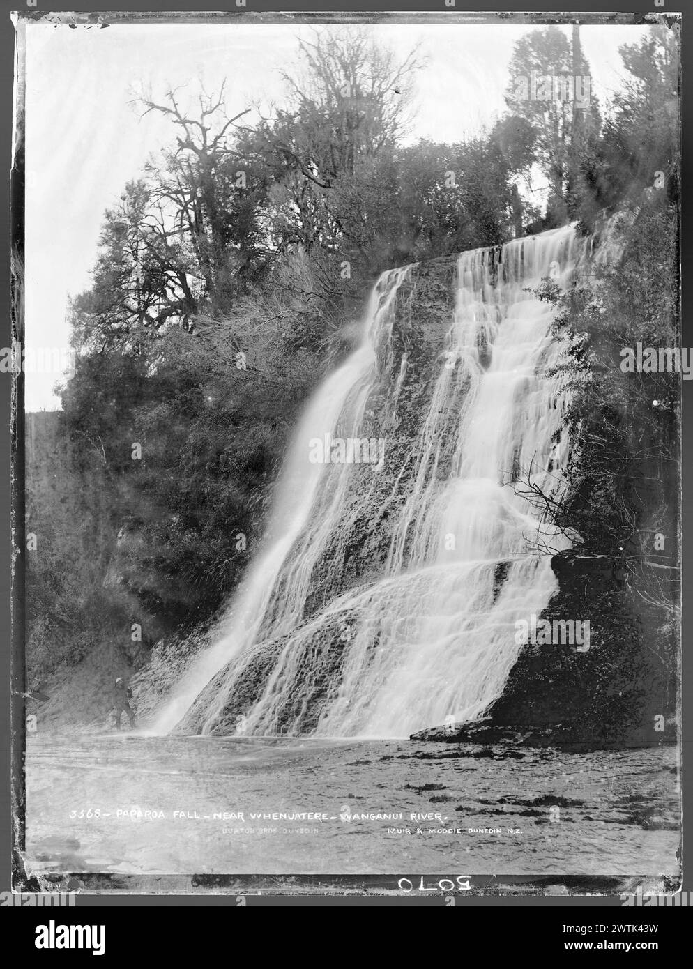 Paparoa Fall, in der Nähe von Whenuatere, Wanganui River Gelatine Dry Plate negative, schwarz-weiß negative Stockfoto