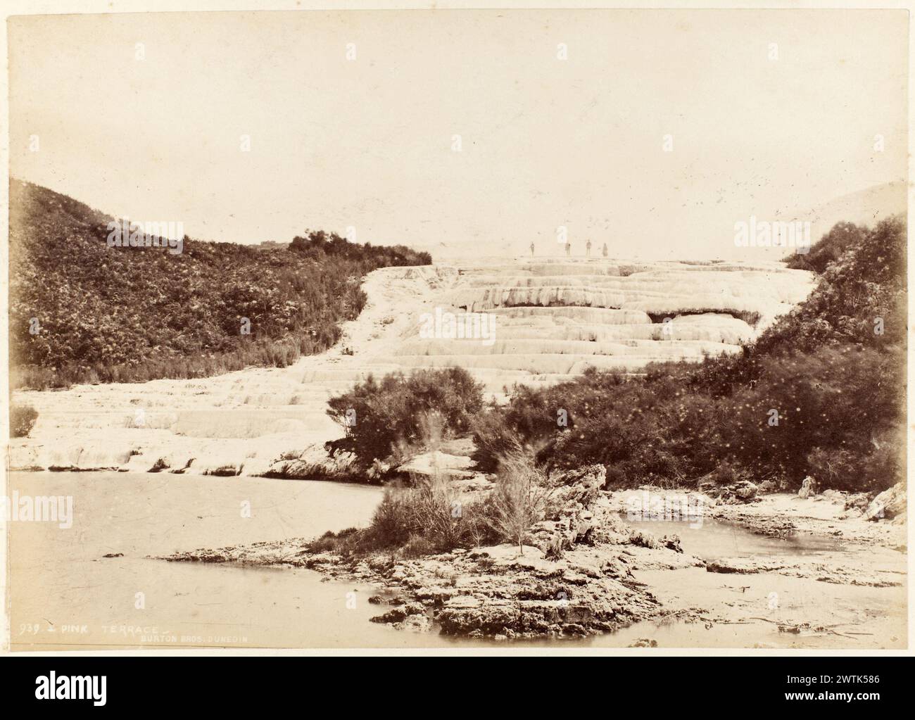 Rosafarbene Terrasse. Aus dem Album: Views of New Zealand Scenic Albumenabzüge, Fotoabzüge Stockfoto