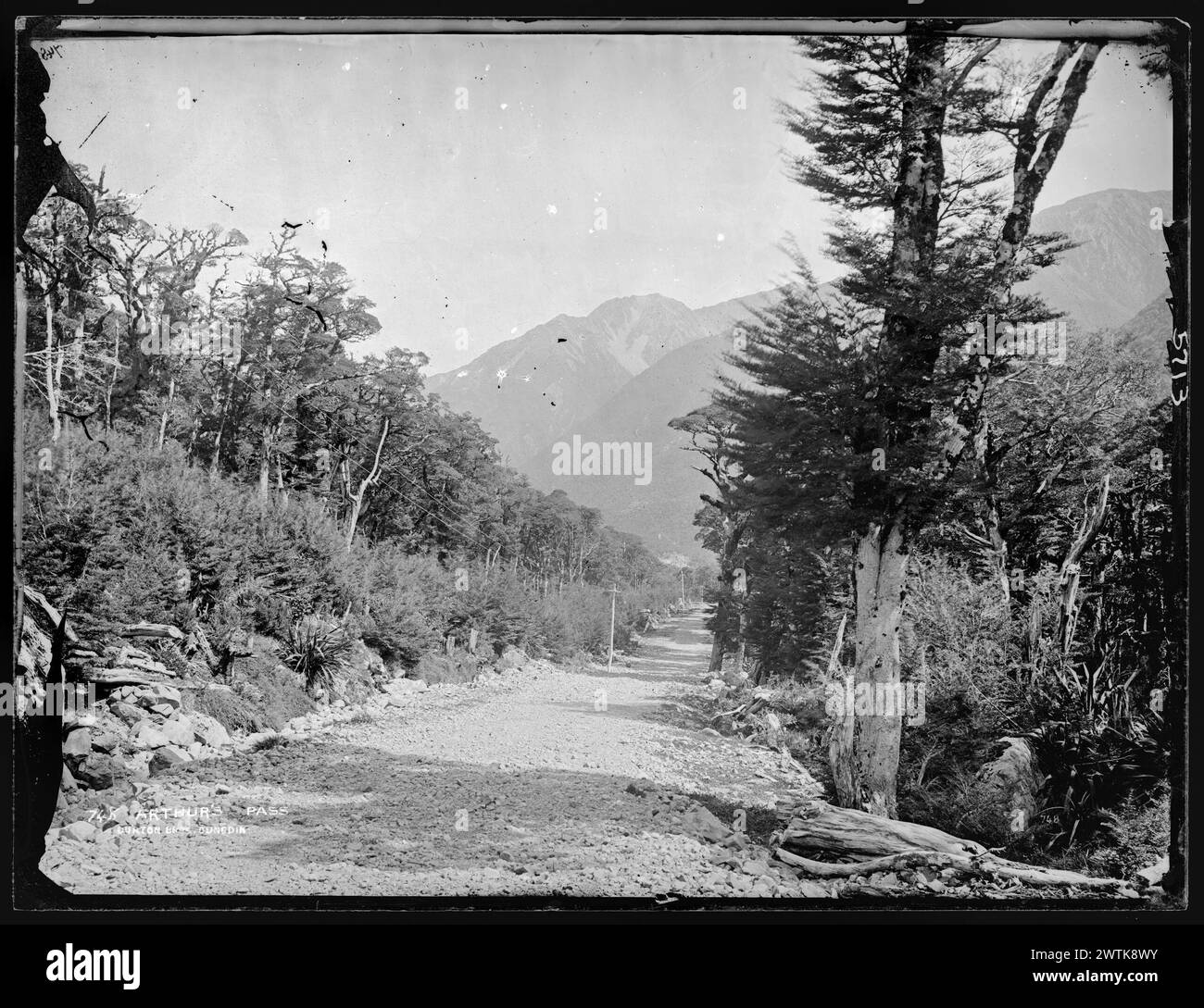 Arthur's Pass nasse Kollodeonnegative, Schwarzweiß-negative Stockfoto