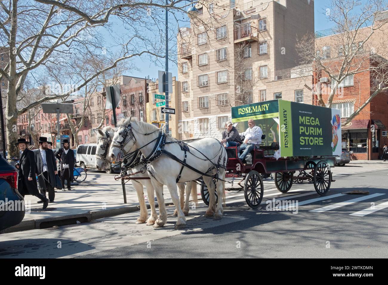 Eine Pferdekarre, die für den Rosemary Kosher Supermarkt, einen Ort, an dem Lebensmittel und Spielzeug für den Purim-Urlaub gekauft werden, wirbt. Auf der Lee Avenue in Brooklyn, NY. Stockfoto