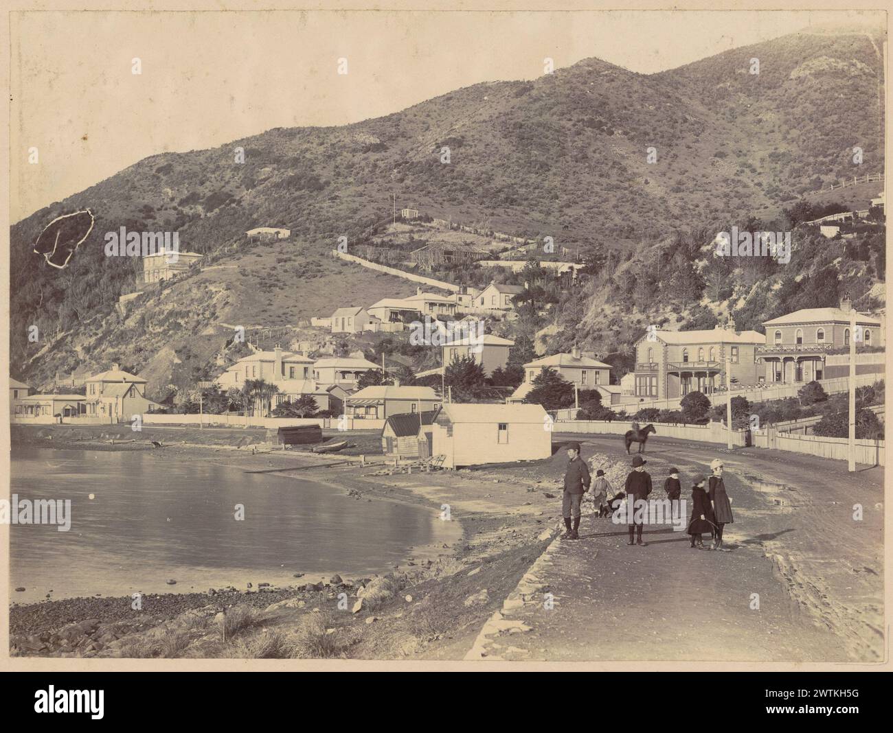 Queen's Drive, Wellington-Albumenabdrücke, Schwarzweißabdrücke Stockfoto