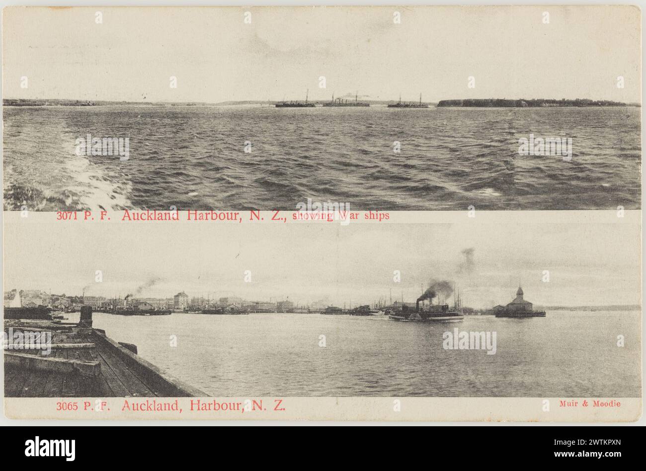 Auckland Harbour, Neuseeland Fotopostkarten Stockfoto